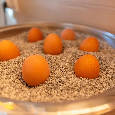 호텔 An Der Stadthalle Hbf (adults Only)